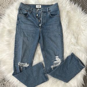 Agolde Riley High Rise Straight Crop Jeans (Whiplash, Size 26)